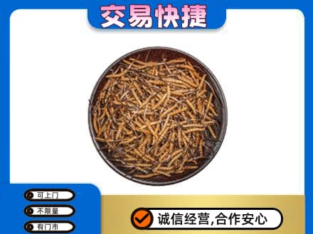黄冈市回收散虫草